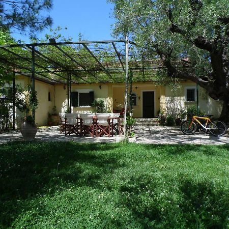 Theni Olive Grove Villa Kato Yerakarion エクステリア 写真