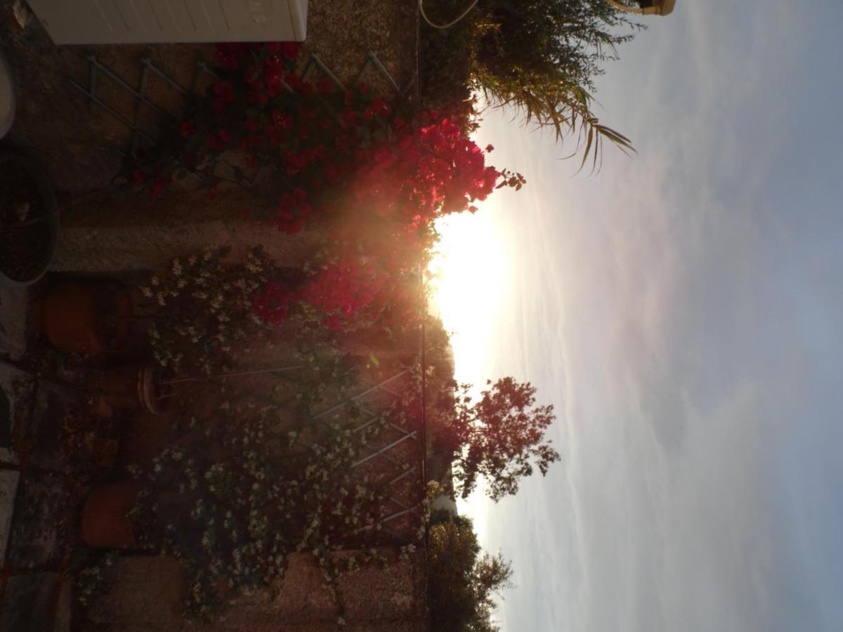 Theni Olive Grove Villa Kato Yerakarion エクステリア 写真