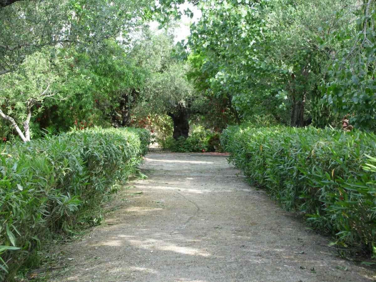 Theni Olive Grove Villa Kato Yerakarion エクステリア 写真