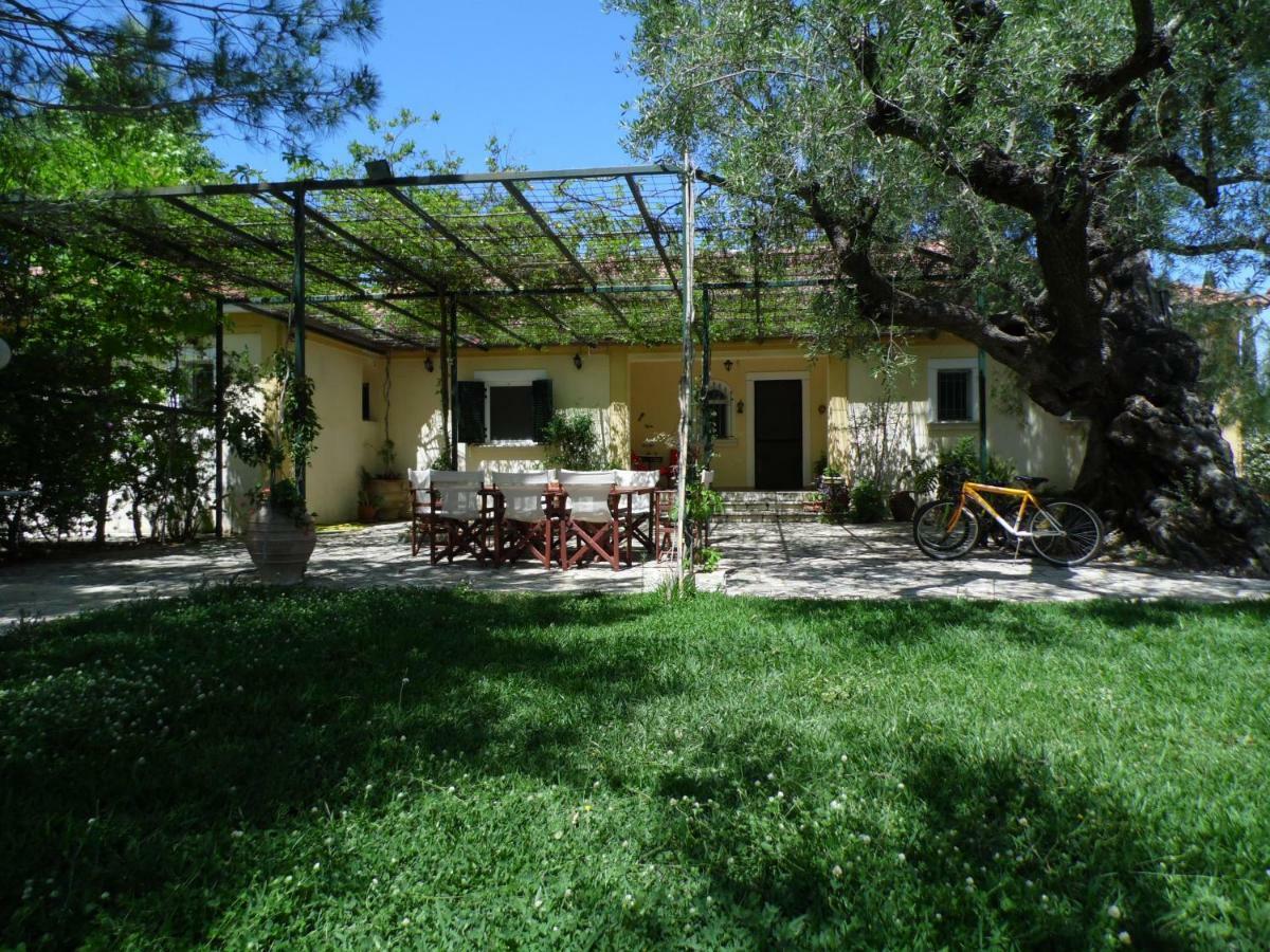 Theni Olive Grove Villa Kato Yerakarion エクステリア 写真