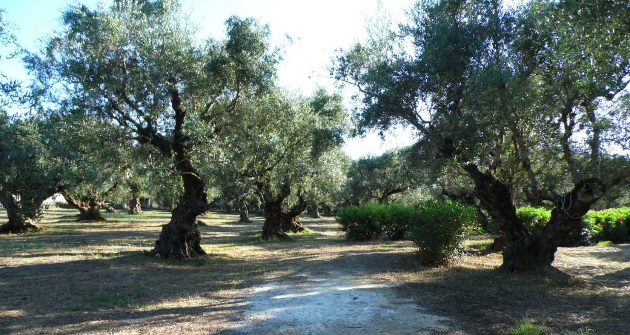 Theni Olive Grove Villa Kato Yerakarion エクステリア 写真